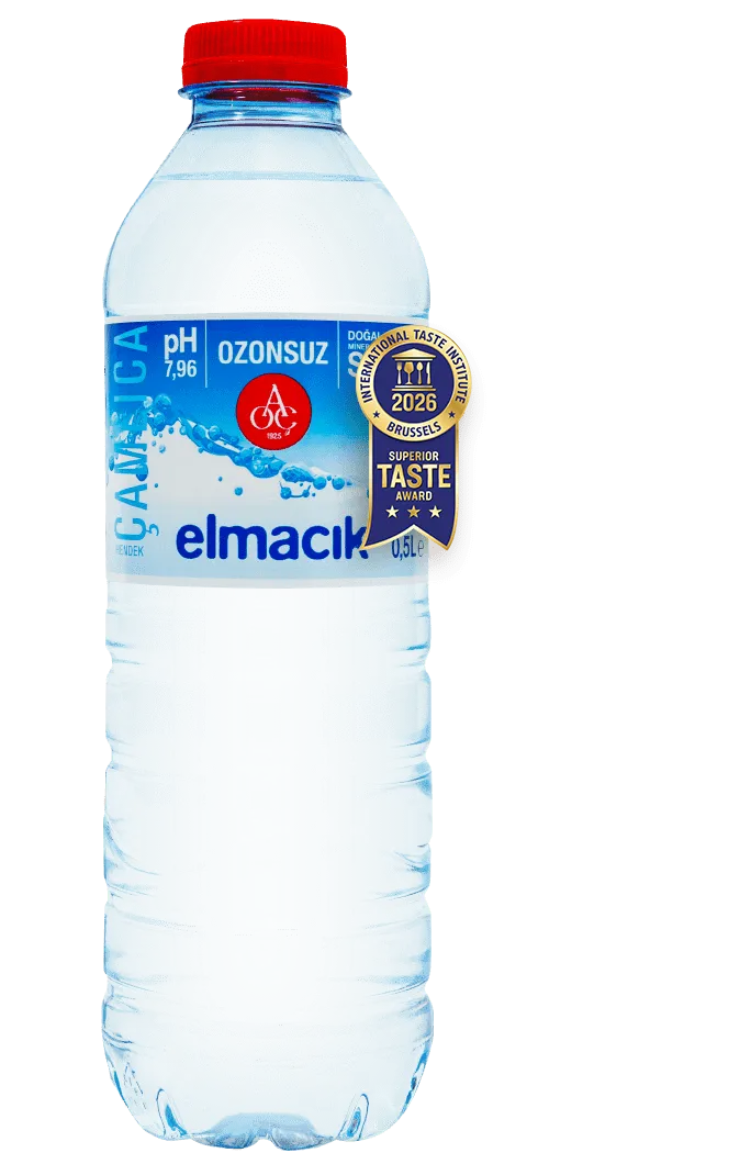 elmacik_english_2026_v1